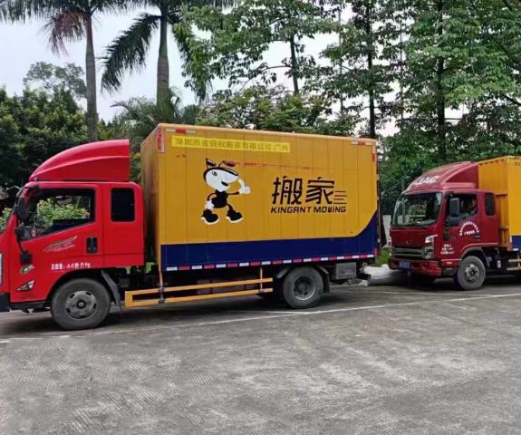 搬家避坑！为什么内行人都选3月搬？省钱又省心！